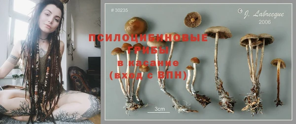 а пвп мука Алзамай