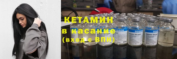 крисы Алексин