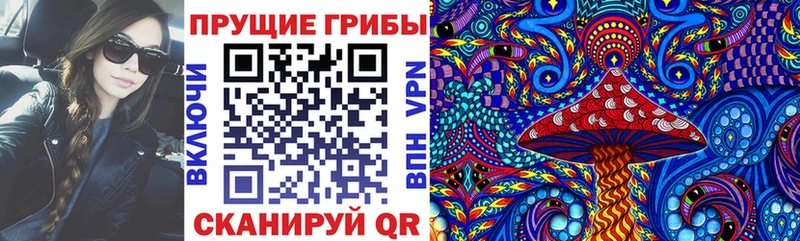 купить наркотик  Лаишево  Галлюциногенные грибы Psilocybe 